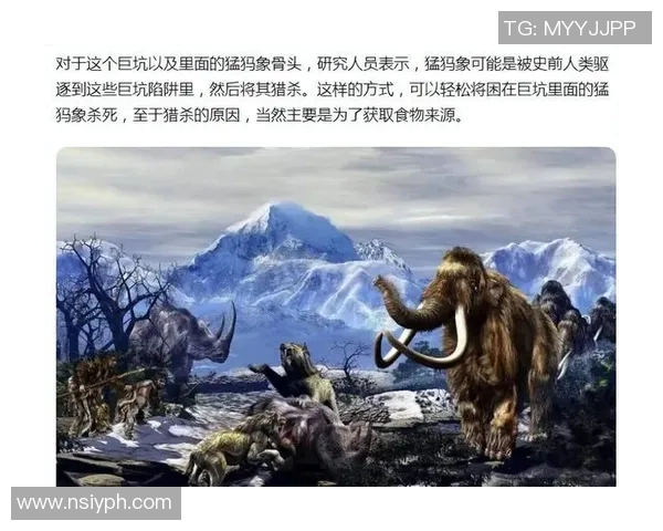 探索奥蓬达的魅力与神秘揭示其背后的文化与历史故事 探索奥蓬达的魅力与神秘揭示其背后的文化与历史故事