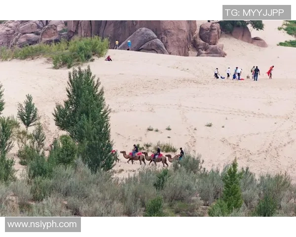 清水鼓动与鸟西砂岩的精彩对决揭示了岩石艺术的无限魅力与深邃内涵