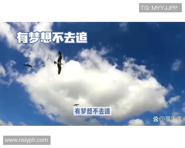 景菡一的成长之路与梦想追逐的精彩人生旅程