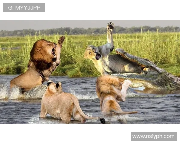 马卡比迎战拜仁慕尼黑强强对决谁能笑到最后 马卡比迎战拜仁慕尼黑强强对决谁能笑到最后