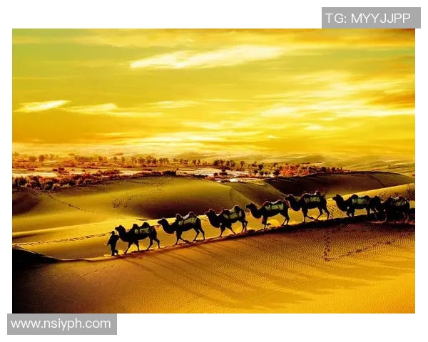 米利唐的历史变迁与文化影响探析：从古代到现代的演变之路